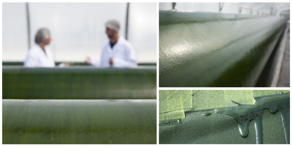 © Microalgae pilot production farm - Inalve - Fanny Tondre - D.Prod