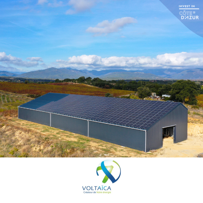 voltaica champion de la croissance