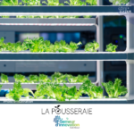 la pousseraie nice