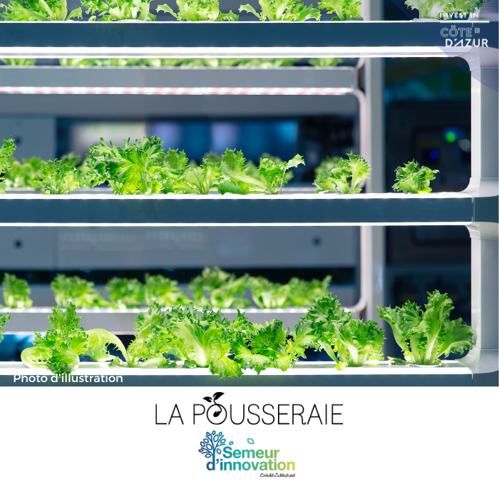 la pousseraie nice