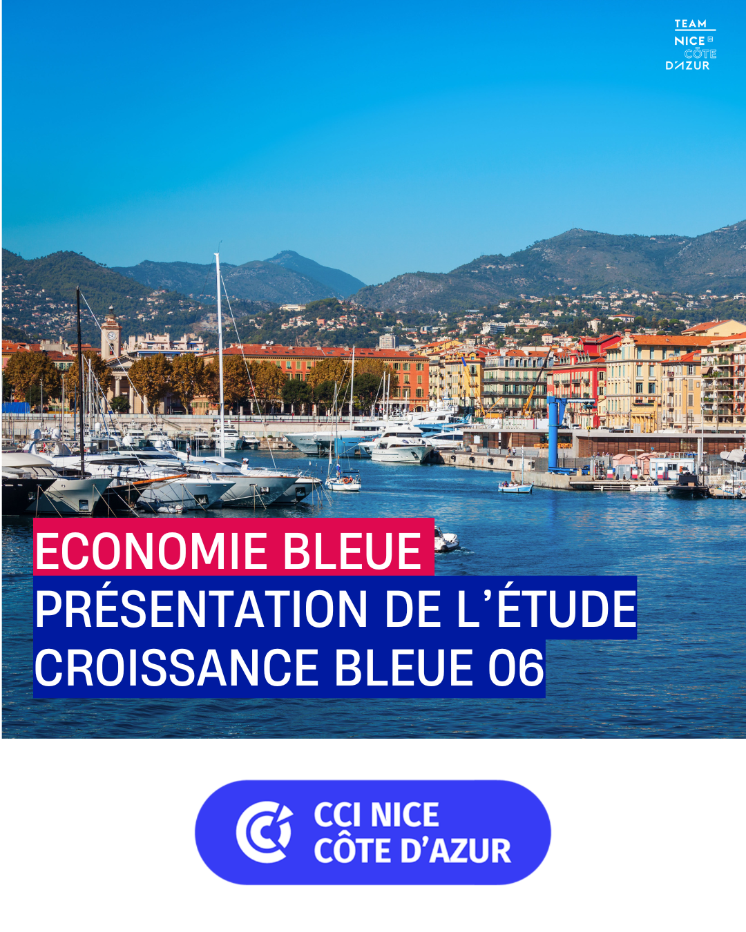 croissance bleue 06