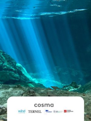 cosma levee de fonds