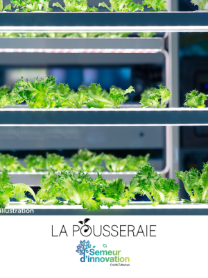 la pousseraie nice