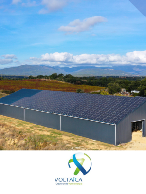voltaica champion de la croissance
